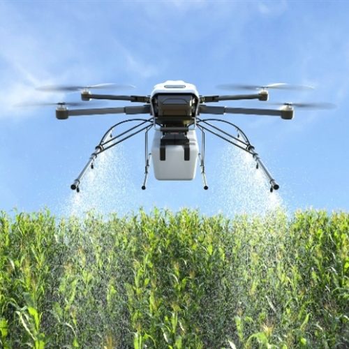 Motivos para usar drones agrícolas