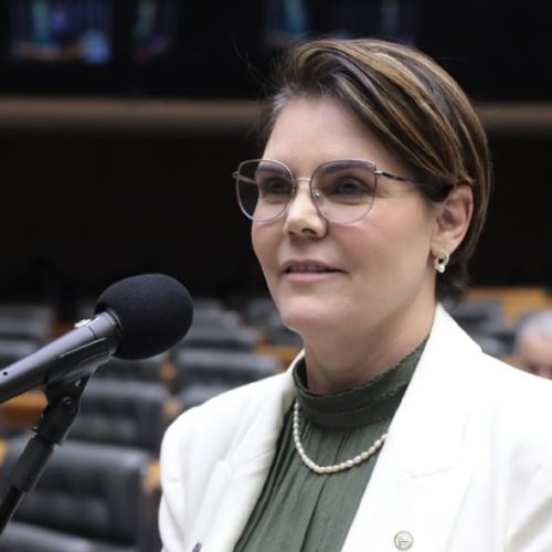 Deputada Coronel Fernanda fecha primeiro semestre com destaque na defesa de MT em Brasília