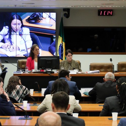 Deputada Coronel Fernanda lidera debate sobre soluções para a crise humanitária Yanomami