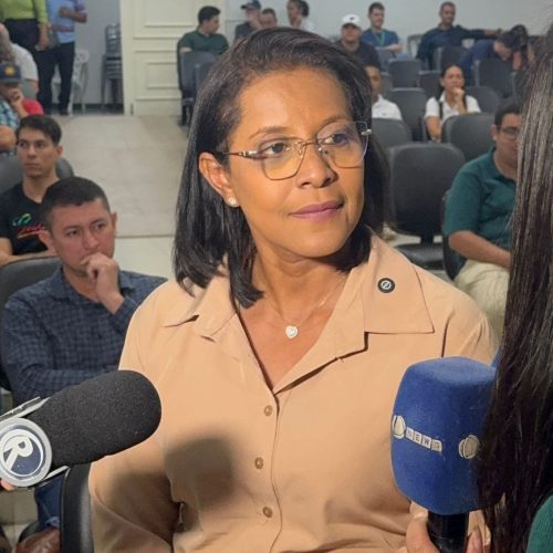 Deputada Gisela debate segurança alimentar ao falar da cadeia produtiva da carne