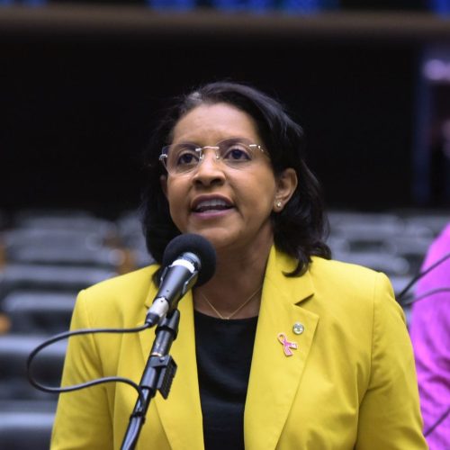 Deputada aponta vitória em queda de braço com empresas aéreas com a volta da gratuidade