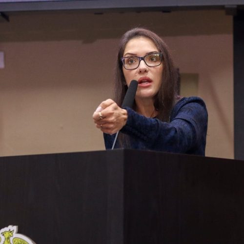 Deputada avalia como positiva a entrada da PF nas investigações da fraude dos consignados
