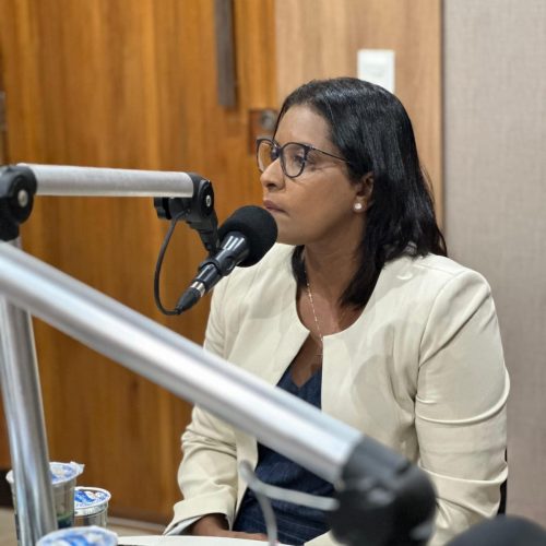 Deputada convoca a sociedade para o debate ao lamentar a morte de 28 mulheres em MT