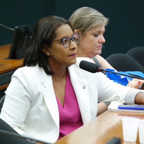 Deputada de MT assume liderança da bancada feminina na Câmara Federal