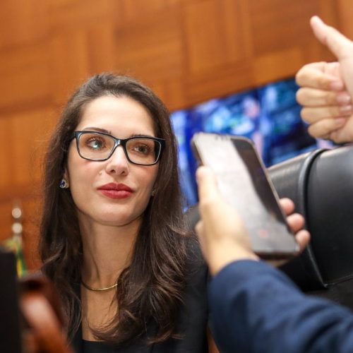 Deputada diz que MDB deverá seguir com a direita e defende governador de SP a presidente