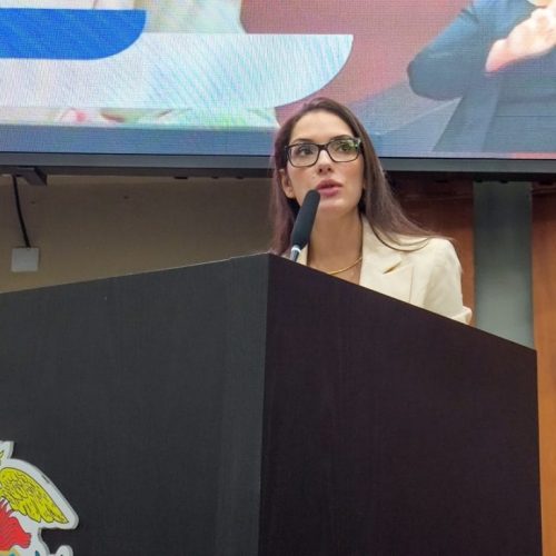 Deputada rebate especulações e afirma que não precisa de 'padrinho' para disputar Senado