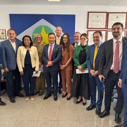 Deputados estaduais e bancada federal discutem contrato de concessão de energia elétrica