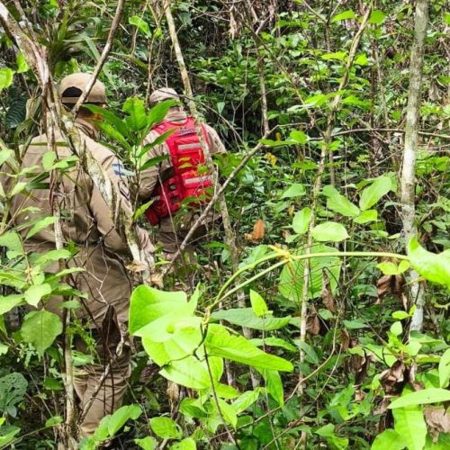 Desaparecimento de bebê indígena em MT completa 10 dias; bombeiros sobrevoam mata com drone