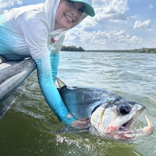 Empresários relatam mais turistas e alta no faturamento após dois anos do Transporte Zero