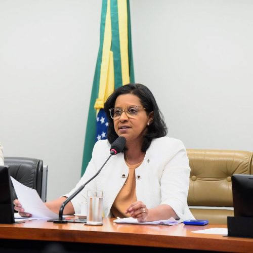 ‘Destino das emendas e aumento das atribuições municipais pautaram debates com prefeitos’, diz Gisela