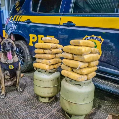 Dois são presos transportando drogas dentro de botijão de gás em ônibus coletivo