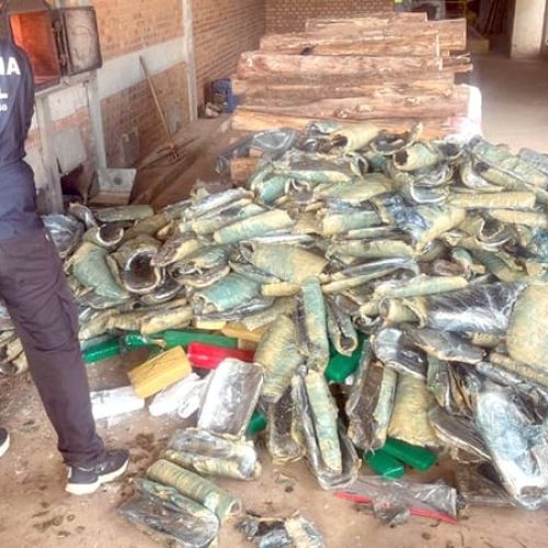 RONDONOPOLIS: Incineração de drogas | Ganhadores Nota MT | Defesa dos direitos da mulher | MT na COP30