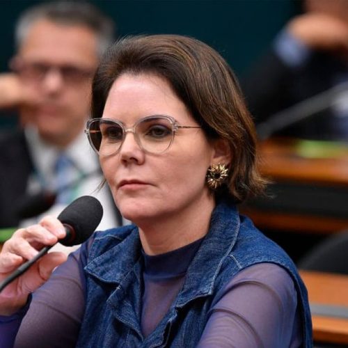 “É o começo da justiça sendo feita”, diz Coronel Fernanda sobre prisão do ex-presidente do INSS