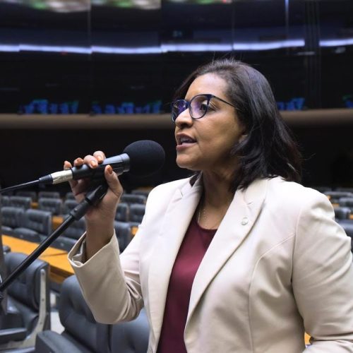 Em Comissão da Câmara, Gisela aprova PL que isenta do IR quem ganha até R$ 5 mil