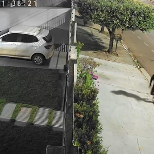 Empresário que atirou contra residência de ex-sócios é alvo de operação da Polícia Civil; vídeo