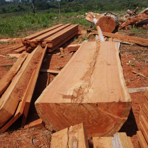 Empresários são alvos da PC por armazenamento ilegal de madeira em Mato Grosso