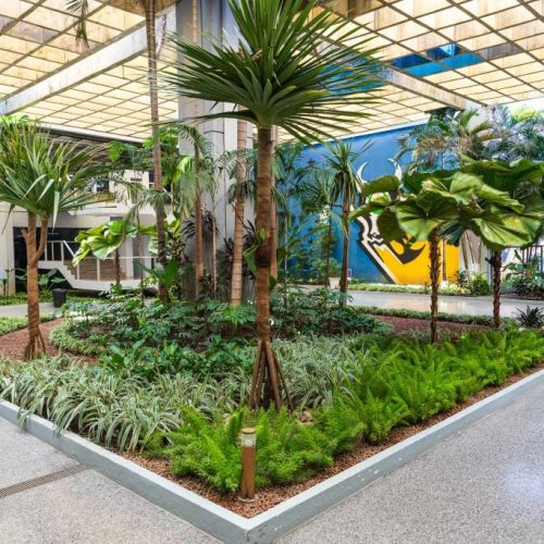 Evento em Cuiabá vai discutir desafios e soluções para agenda climática no setor agrícola