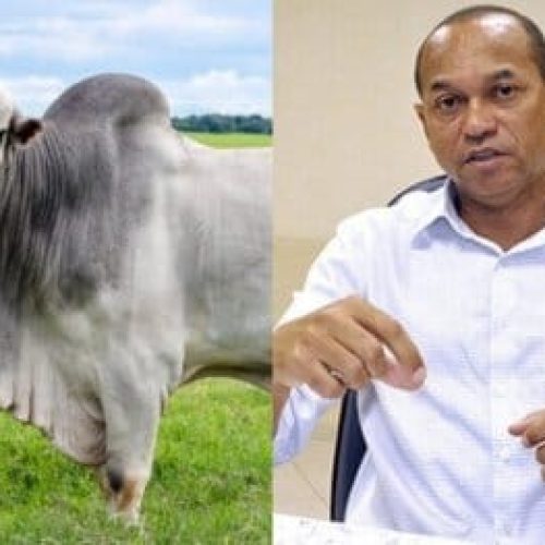 Ex-candidato a prefeito em MT é atingido por boi em sítio e passa por cirurgia de emergência