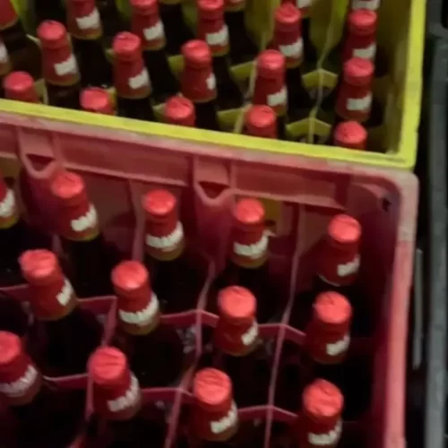 Fábrica clandestina de cerveja pode ter usado soda cáustica para ‘batizar’ bebidas em MT