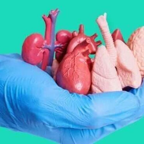 Doação de órgãos em Mato Grosso: 70% das famílias recusam, o que supera média nacional