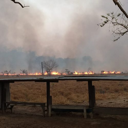Fazendeiro é condenado a seis anos de prisão por matar vizinho após discussão sobre incêndio