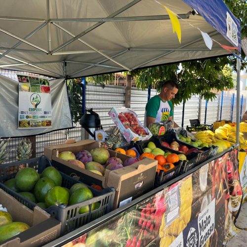  Feiras impulsionam renda e fortalecem agricultura familiar em MT