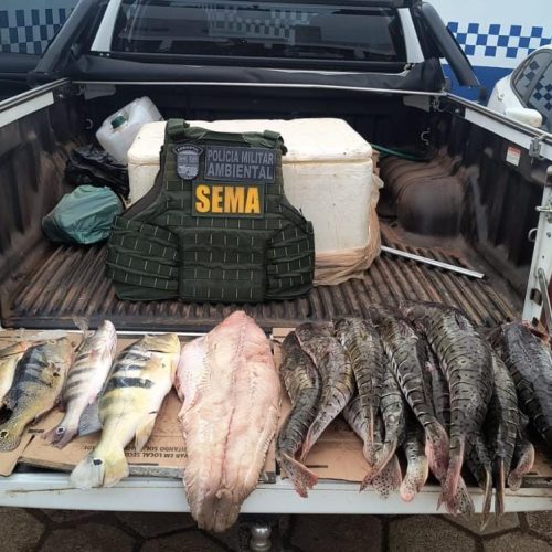 Fiscalização apreende 70 quilos de pescado irregular em Cuiabá e Várzea Grande