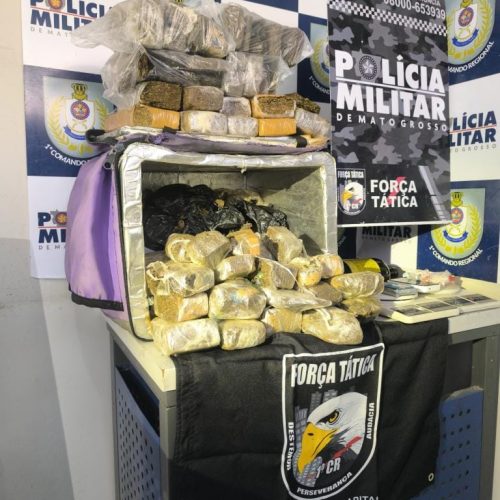 Força Tática apreende tabletes e porções de droga e causa prejuízo de R$ 50 mil às facções