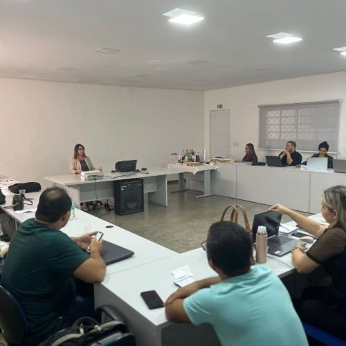 REGIÃO DO GARÇAS ARAGUAIA: SES capacita mais dez municípios para o uso de ferramentas da Saúde Digital