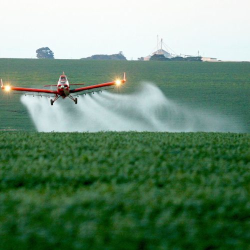 Tribunal marca audiência em MT para debater possível proibição do glifosato por impactos na saúde