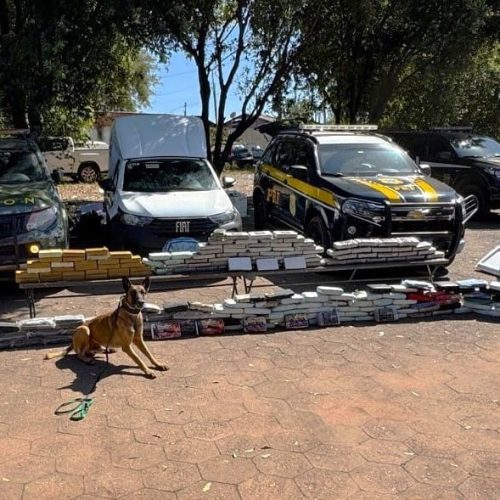 Gefron e PRF apreendem 280 quilos de drogas com auxílio de cão farejador