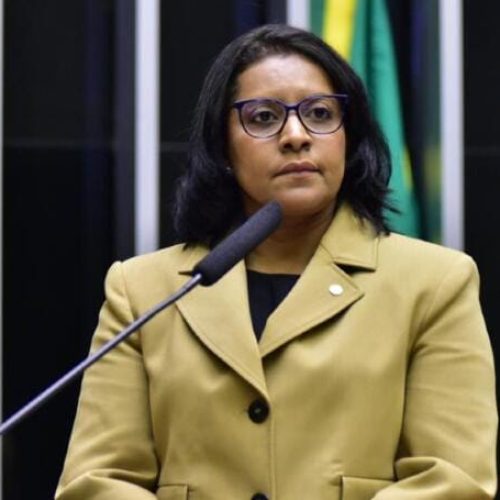 Gisela e Aprofir realizam evento, de olho em aprimorar projetos capazes de receber novas fontes de recursos financeiros