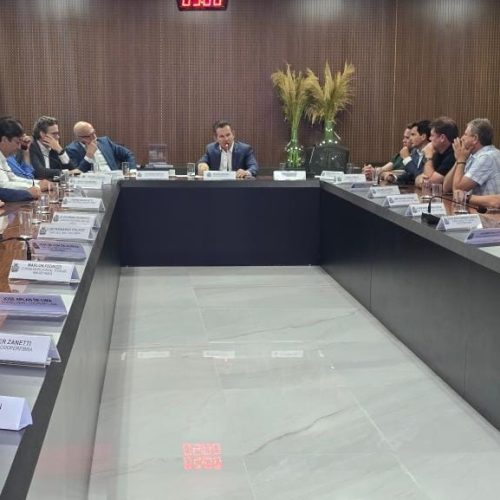 Governador atende setor do algodão e decide prorrogar Proalmat até 2032
