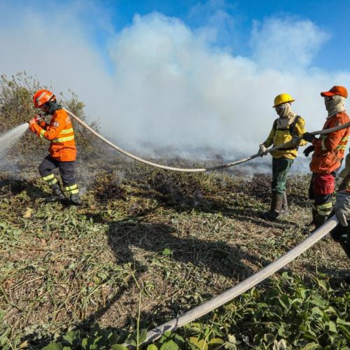 Governo libera R$ 150 milhões para combater incêndios no Cerrado e Pantanal