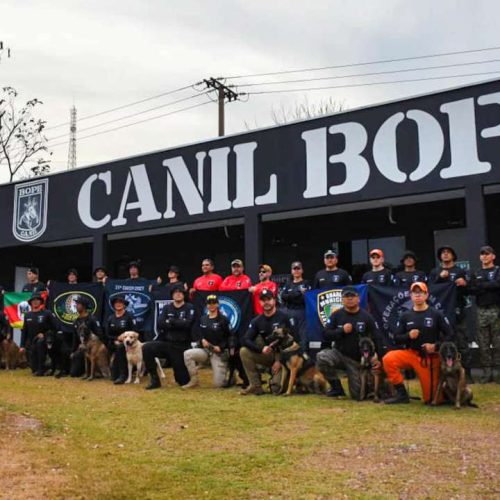 Guarda Municipal de Várzea Grande conclui curso de cães detectores de drogas do Bope