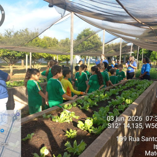  Itanhangá-MT: Alunos da Escola Municipal Paulo Freire visitam projeto de horta escolar em Itanhangá
