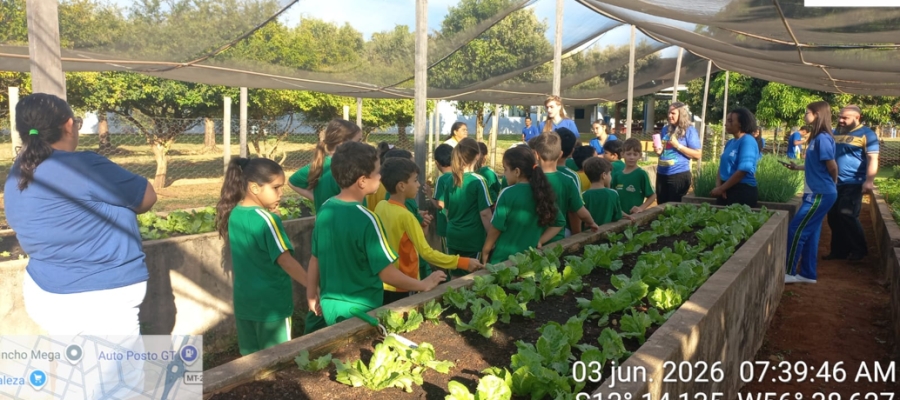  Itanhangá-MT: Alunos da Escola Municipal Paulo Freire visitam projeto de horta escolar em Itanhangá