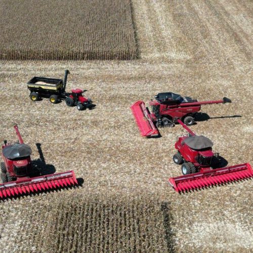 PUJANÇA DO AGRO: Mato Grosso dá início à colheita da segunda safra nacional de milho