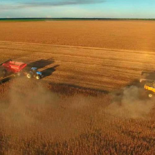 Governo define regras e limite para incentivo fiscal à soja a granel em Mato Grosso