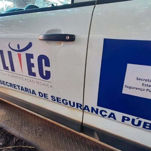 Idosa morre após cair com o rosto sobre facão enquanto podava árvore em Cuiabá