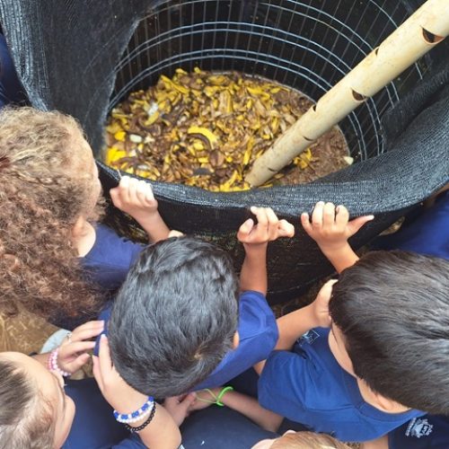 Sorriso: Escola Ivete pode ganhar título de melhor escola do mundo na categoria Colaboração Comunitária e Preservação Ambiental