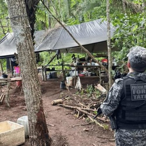 PM localiza estruturas montadas e prende dois por invasão de propriedade em Mato Grosso