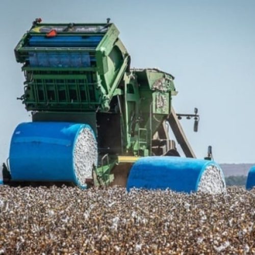 Indústria de tecelagem se impressiona com pujança de Sinop e estuda viabilidade de implantação na cidade