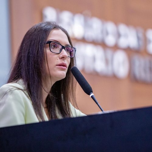Janaina Riva pede desculpas por uso de termo considerado racista durante fala na tribuna