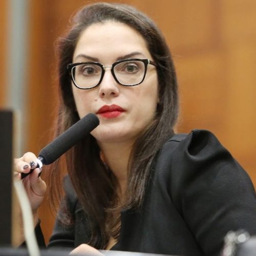 Janaina Riva rebate Abilio e diz que resistência a aliança MDB-PL é problema interno do prefeito