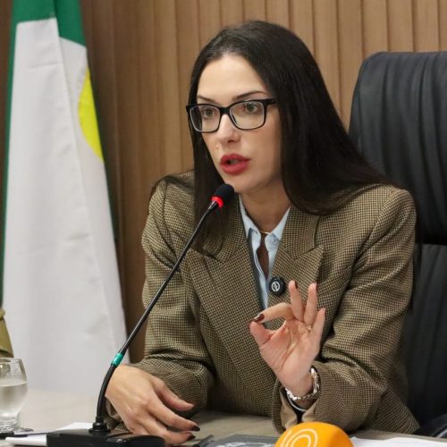 Janaina ignora ataques de Abilio e afirma que não vai antecipar debate eleitoral de 2026