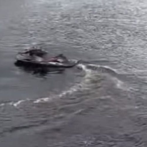 Jovem cai de jet ski e desaparece em rio de MT; Bombeiros fazem buscas