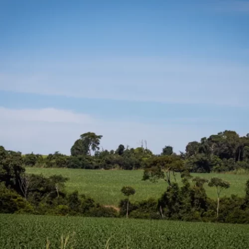 Justiça cita inconformismo e impede penhora de propriedade rural por dívida