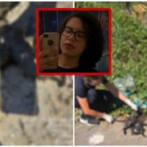 Justiça de MT mantém prisão preventiva de mulher acusada de matar gatos adotados em Cuiabá