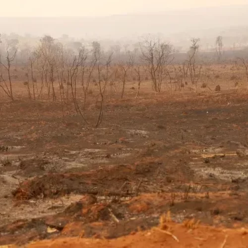 Justiça decide que fazendeira responde por crime ambiental após rejeitar acordo